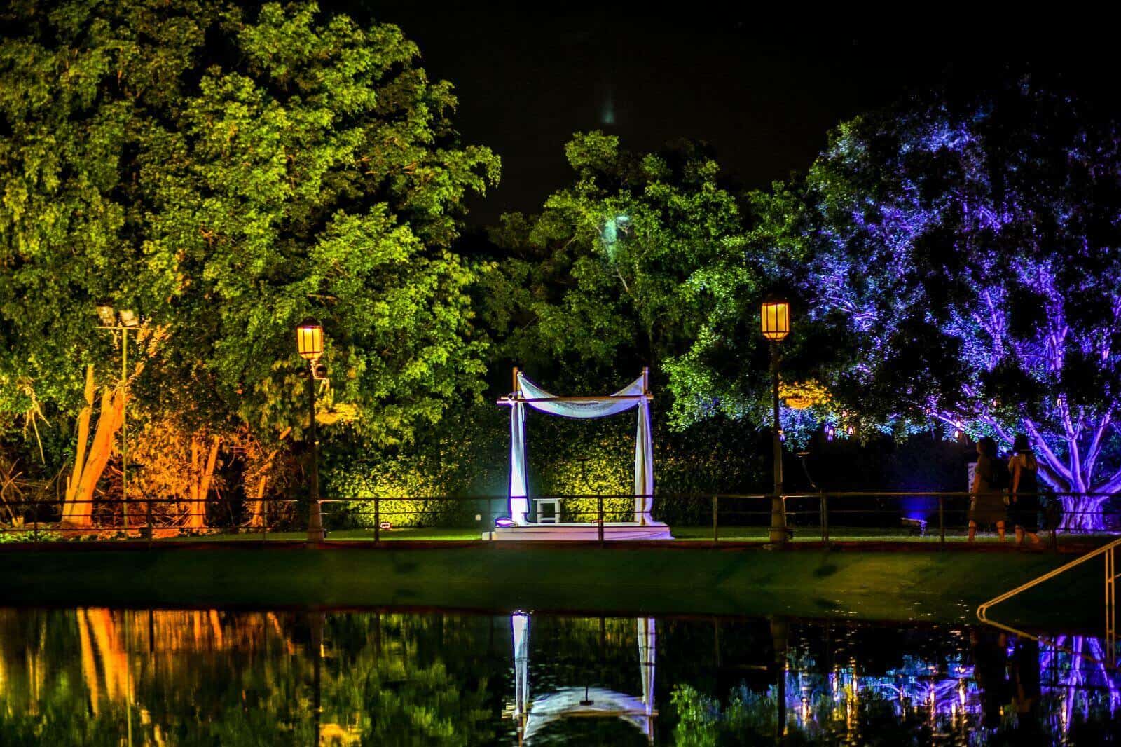 צילום: שחר דרורי