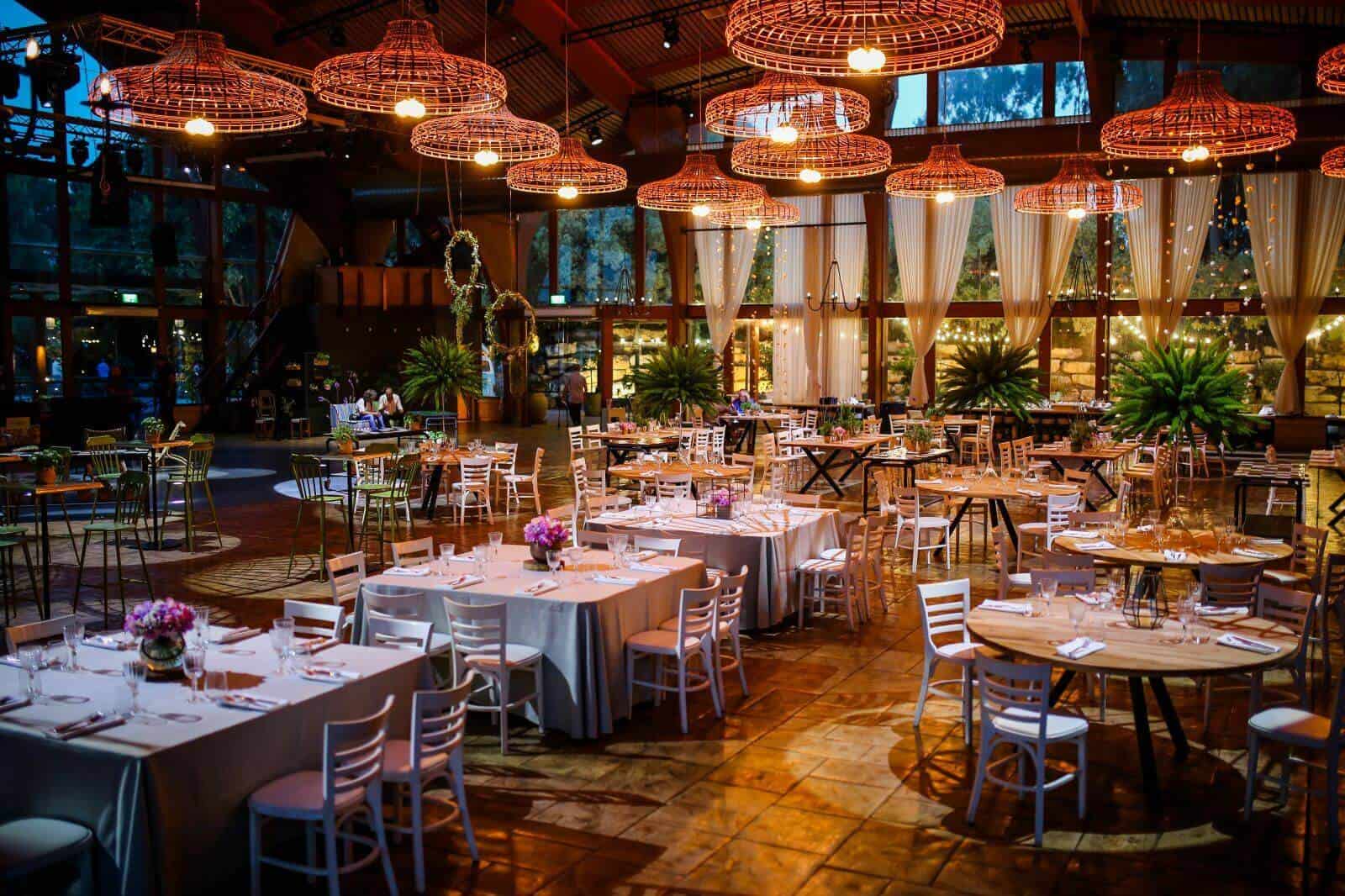 צילום: שחר דרורי