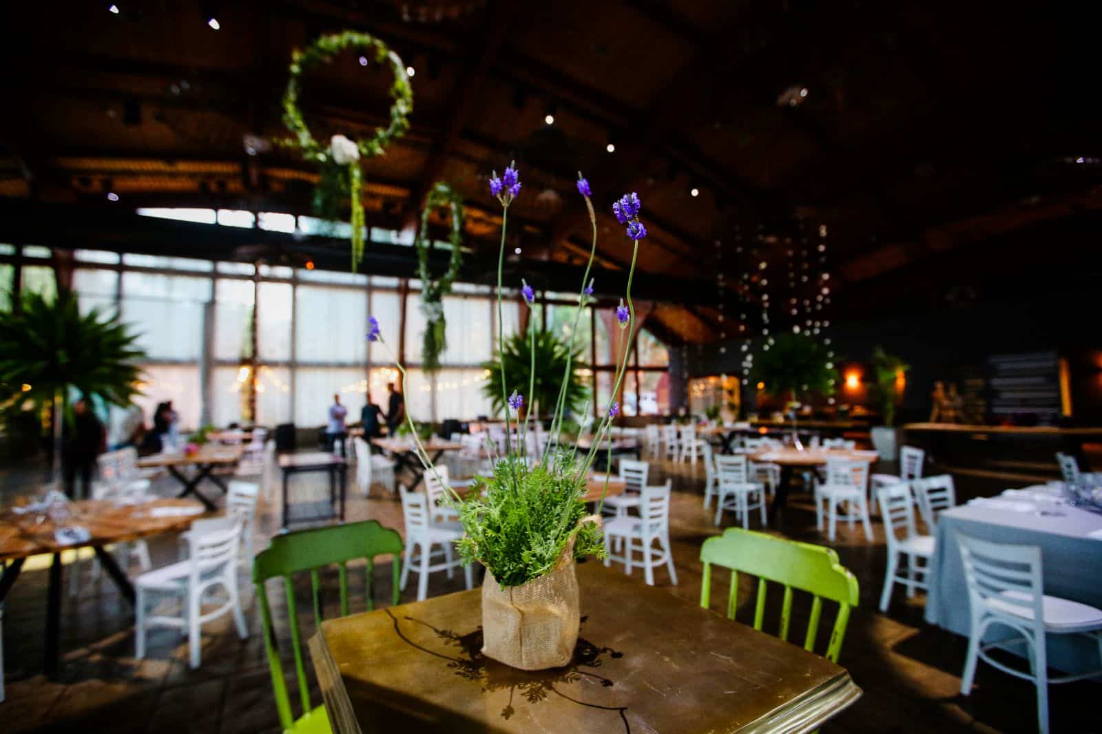 צילום: שחר דרורי