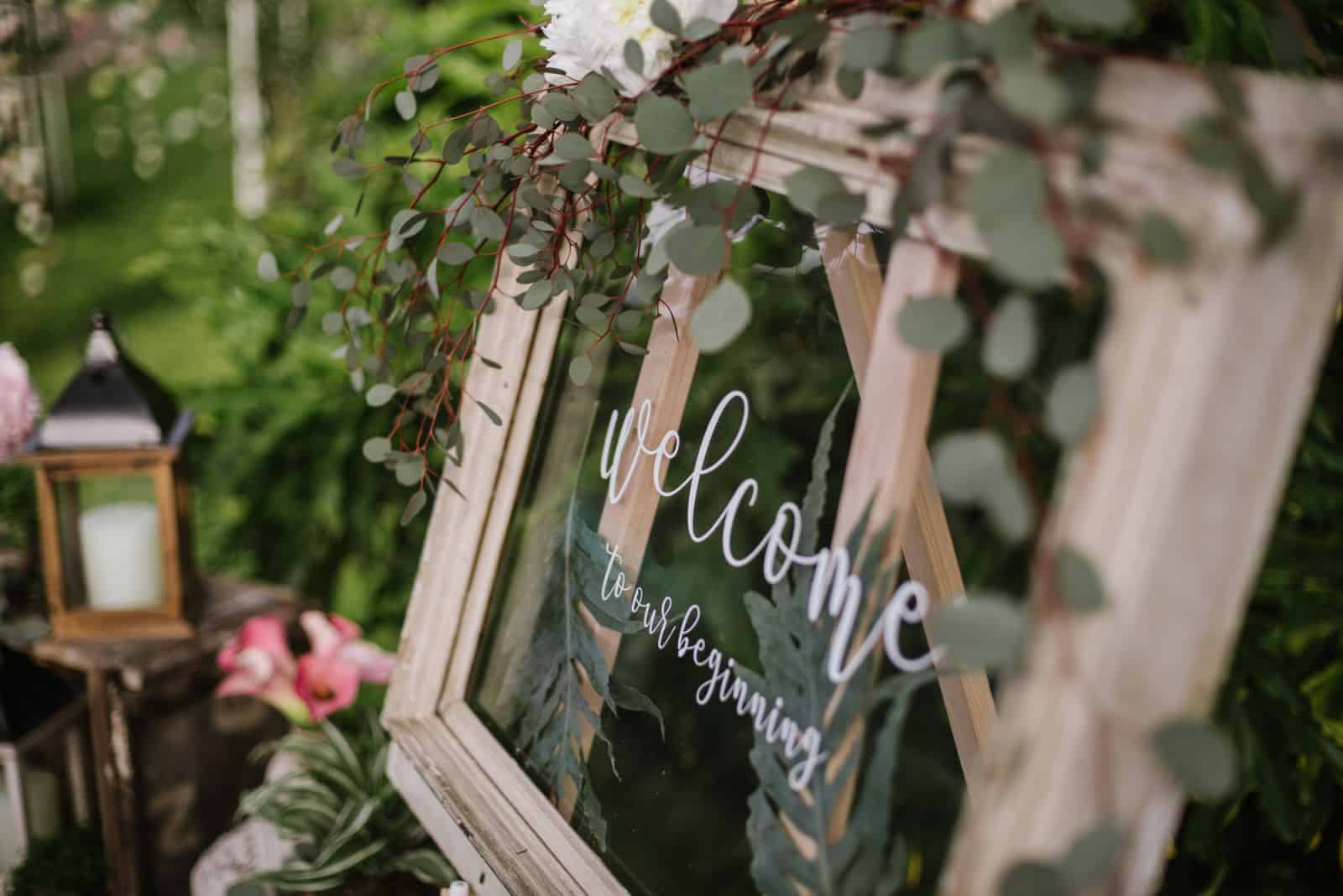 צילום: מורן מעיין