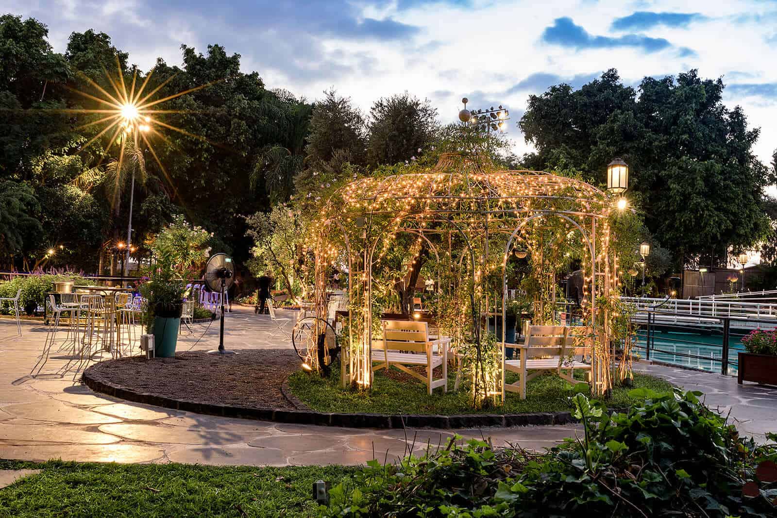 צילום: פוטוגנים