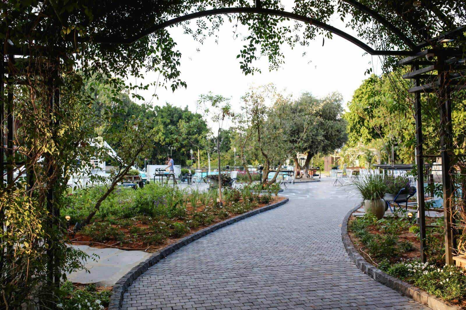 צילום: פוטוגנים