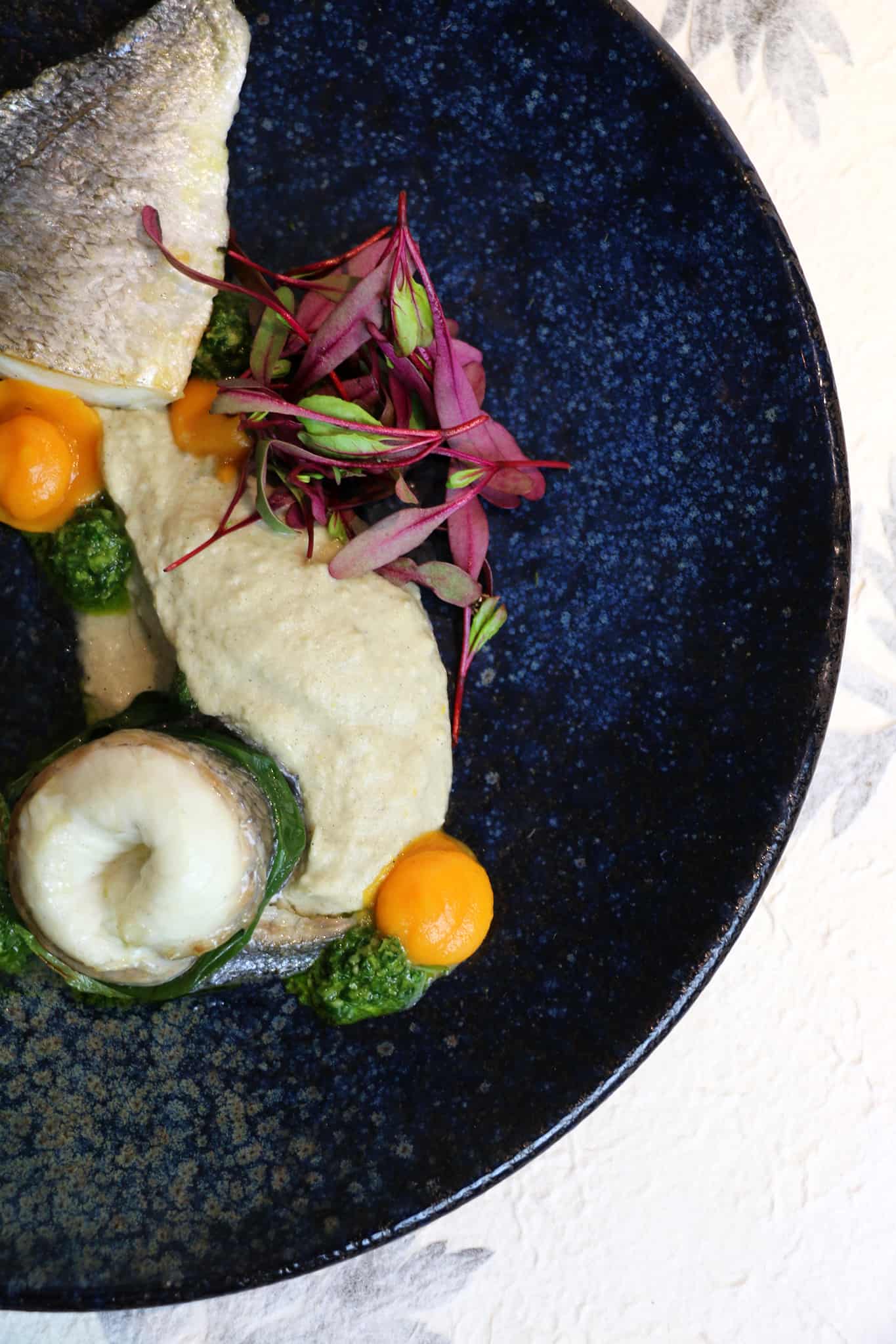 צילום: קמפרי ולימון