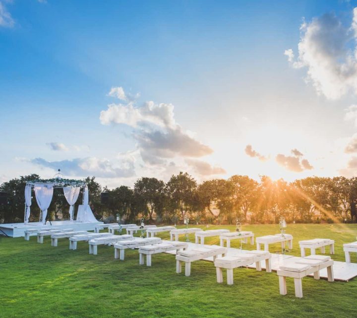 צילום: עידן כנפי