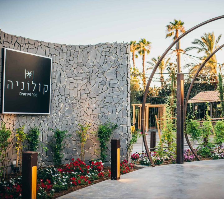 צילום: דניס בוטנרו