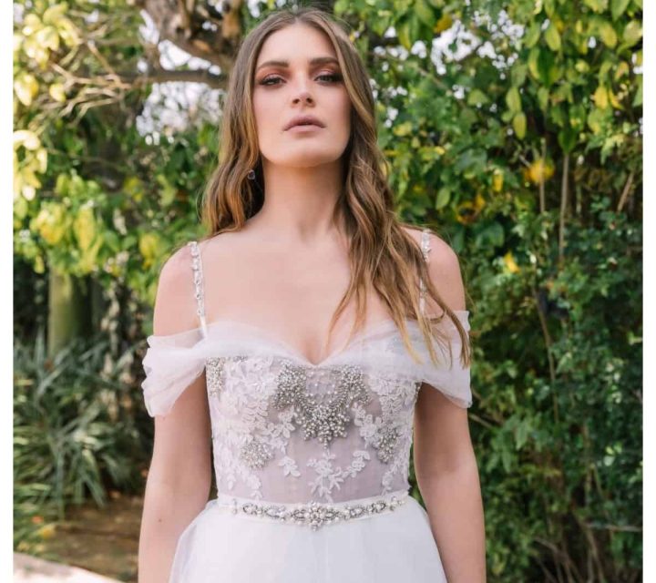 צילום: ISO צלמים