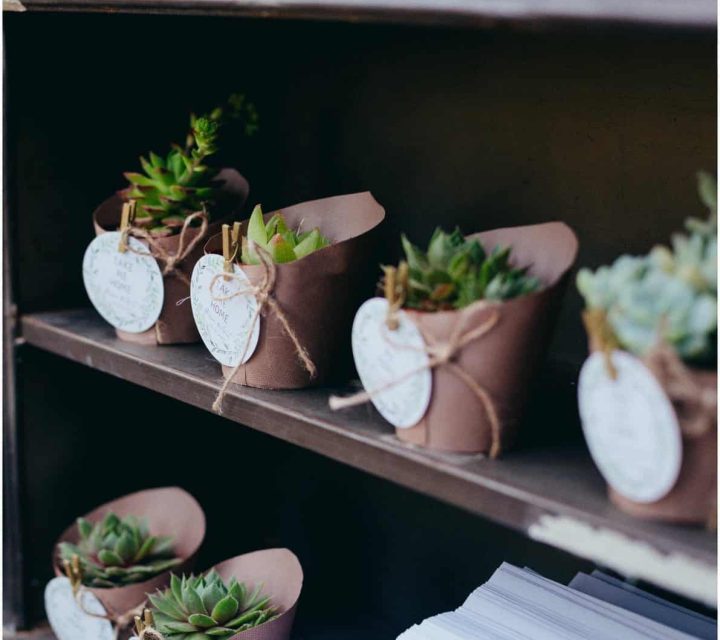 צילום: ארטיק צלמים