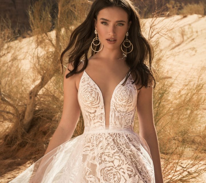 צילום: דביר כחלון